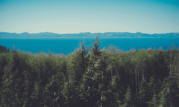 卡密平台稳定的轰炸短信信息软件免费版