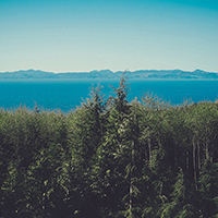 获取短信验证码平台