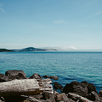 账号兑换平台的免费用虚拟号码发短信